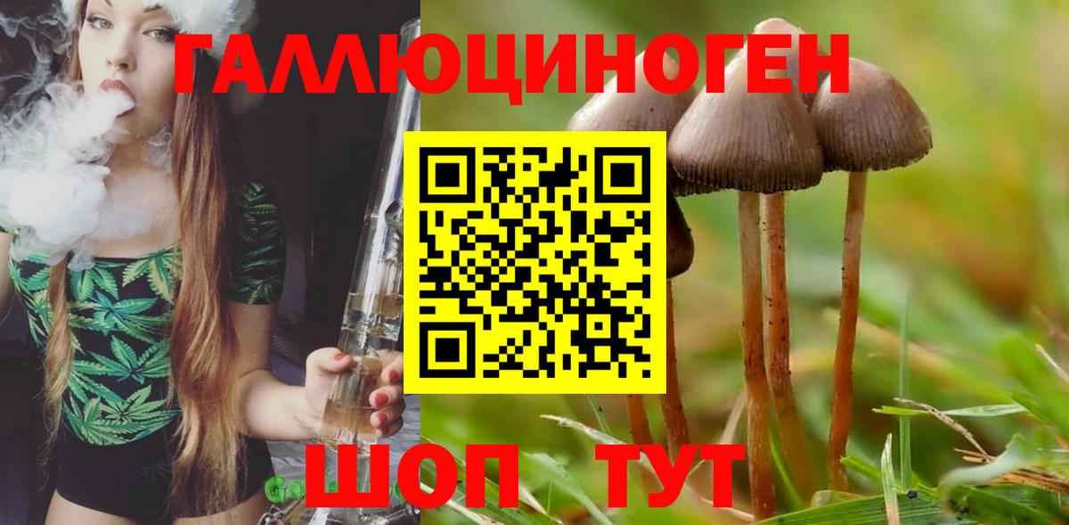 Сердобск  Галлюциногенные грибы мицелий  Вход с VPN  Галлюциногенные грибы ЛСД 