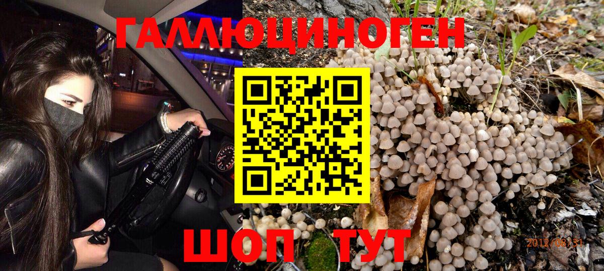 Псилоцибиновые грибы Psilocybine cubensis Сердобск